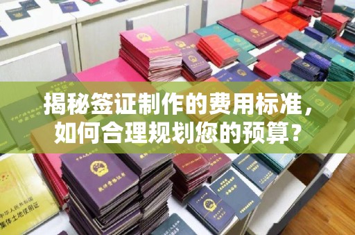 郸城揭秘签证制作的费用标准，如何合理规划您的预算？