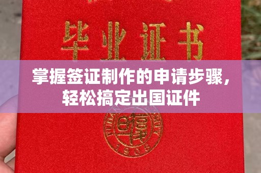 郸城掌握签证制作的申请步骤，轻松搞定出国证件