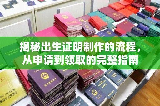 郸城揭秘出生证明制作的流程，从申请到领取的完整指南