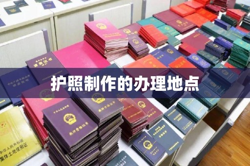 郸城护照制作的办理地点