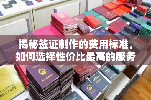 郸城揭秘签证制作的费用标准，如何选择性价比最高的服务？